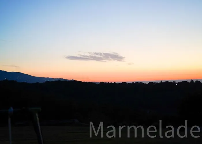 Marmelade
