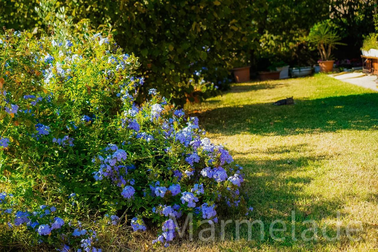 Marmelade * Zagarolo
